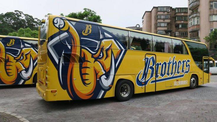 Vehicle Wrap Design